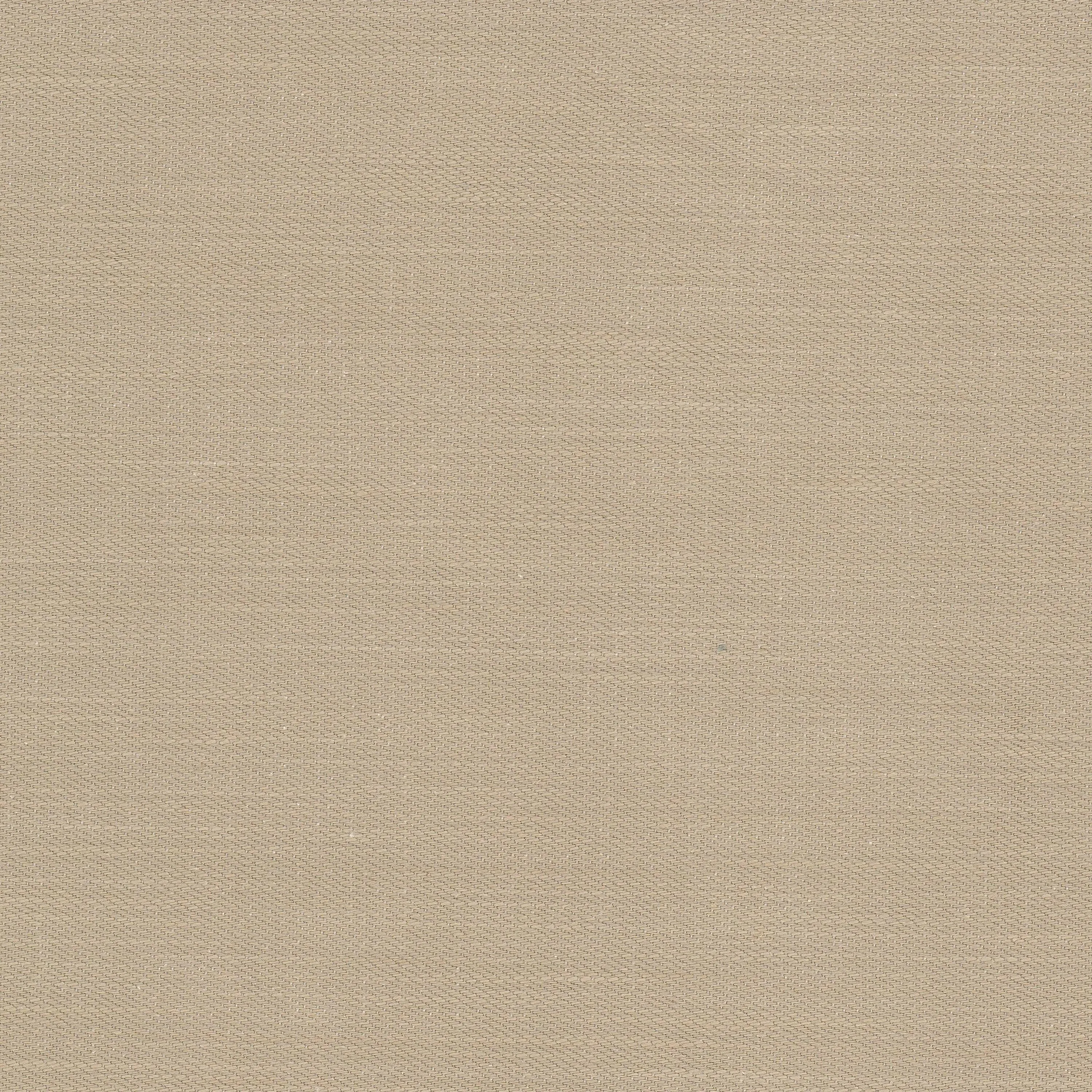 Acapulco 1 Taupe by Stout Fabric