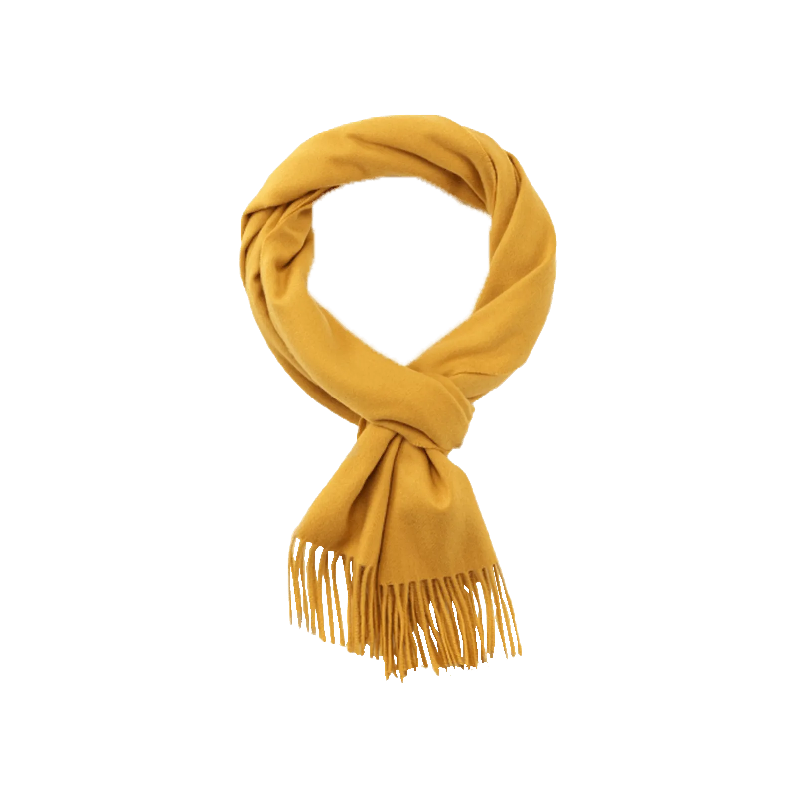 Aeternum Alashan Cashmere Scarf