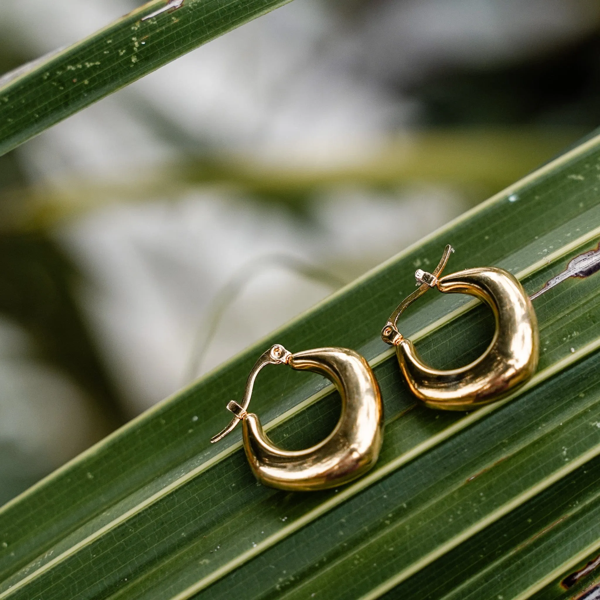 Aureate Elegance Earrings