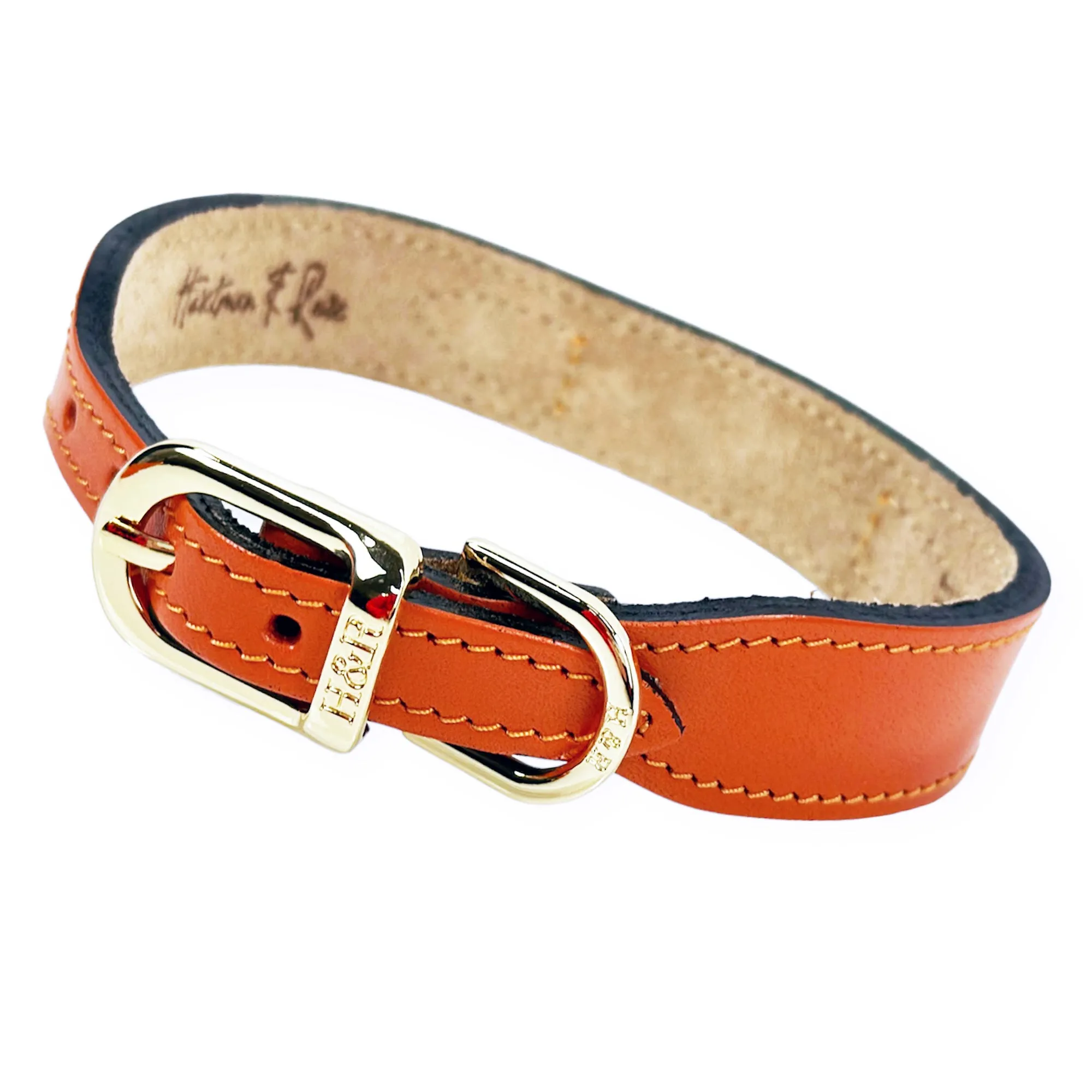 Belmont Dog Collar in Tangerine & Gold