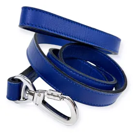 Daisy Dog Leash in Cobalt Blue & Nickel