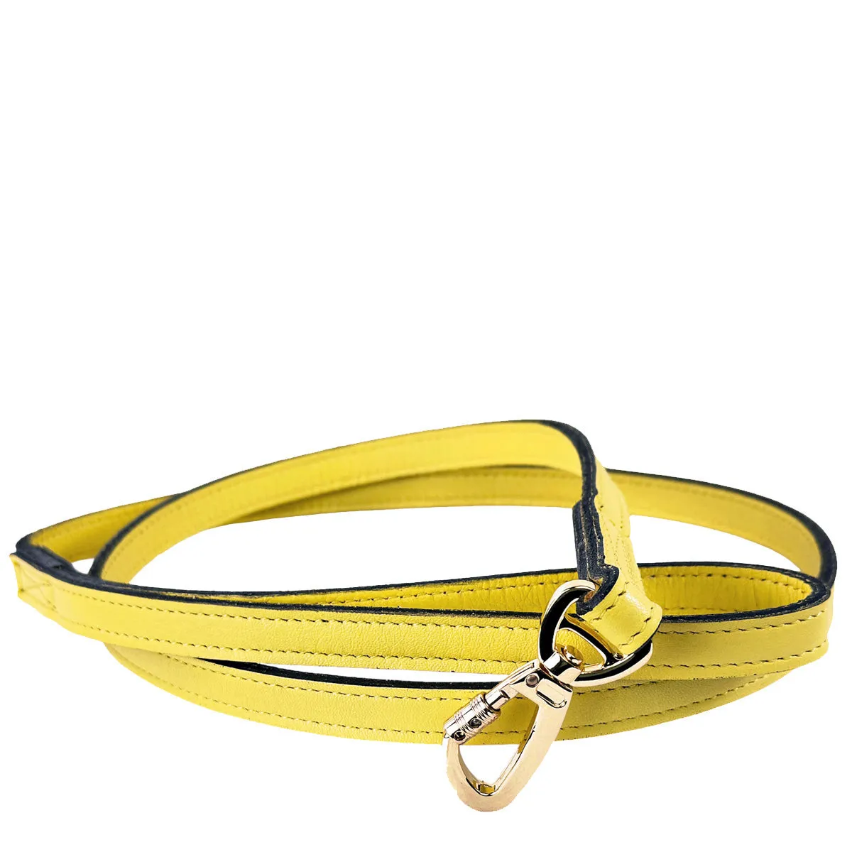 Galaxy Dog Collar Leash in Canary Yellow & Gold