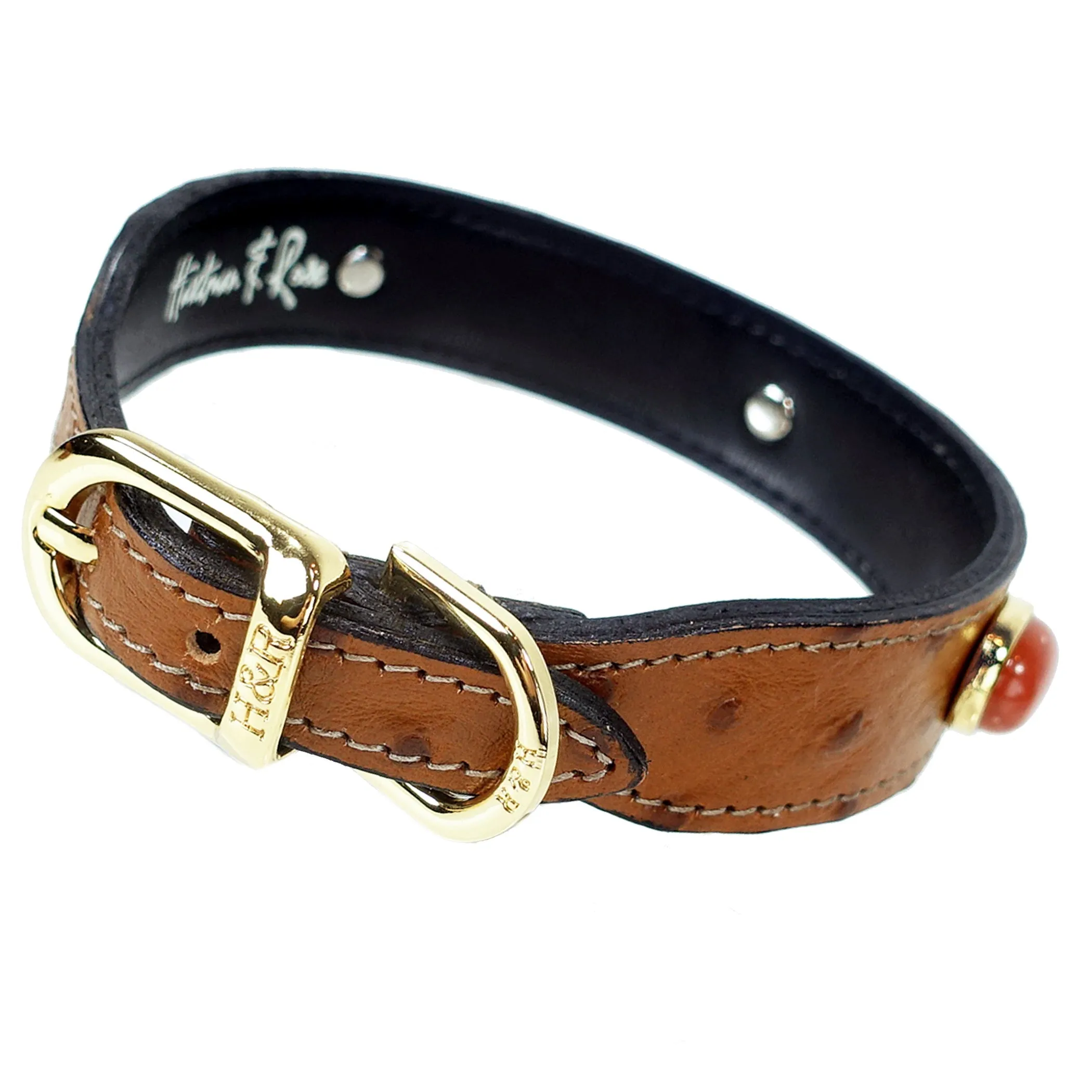 Private Reserve Dog Collar in Red Jasper