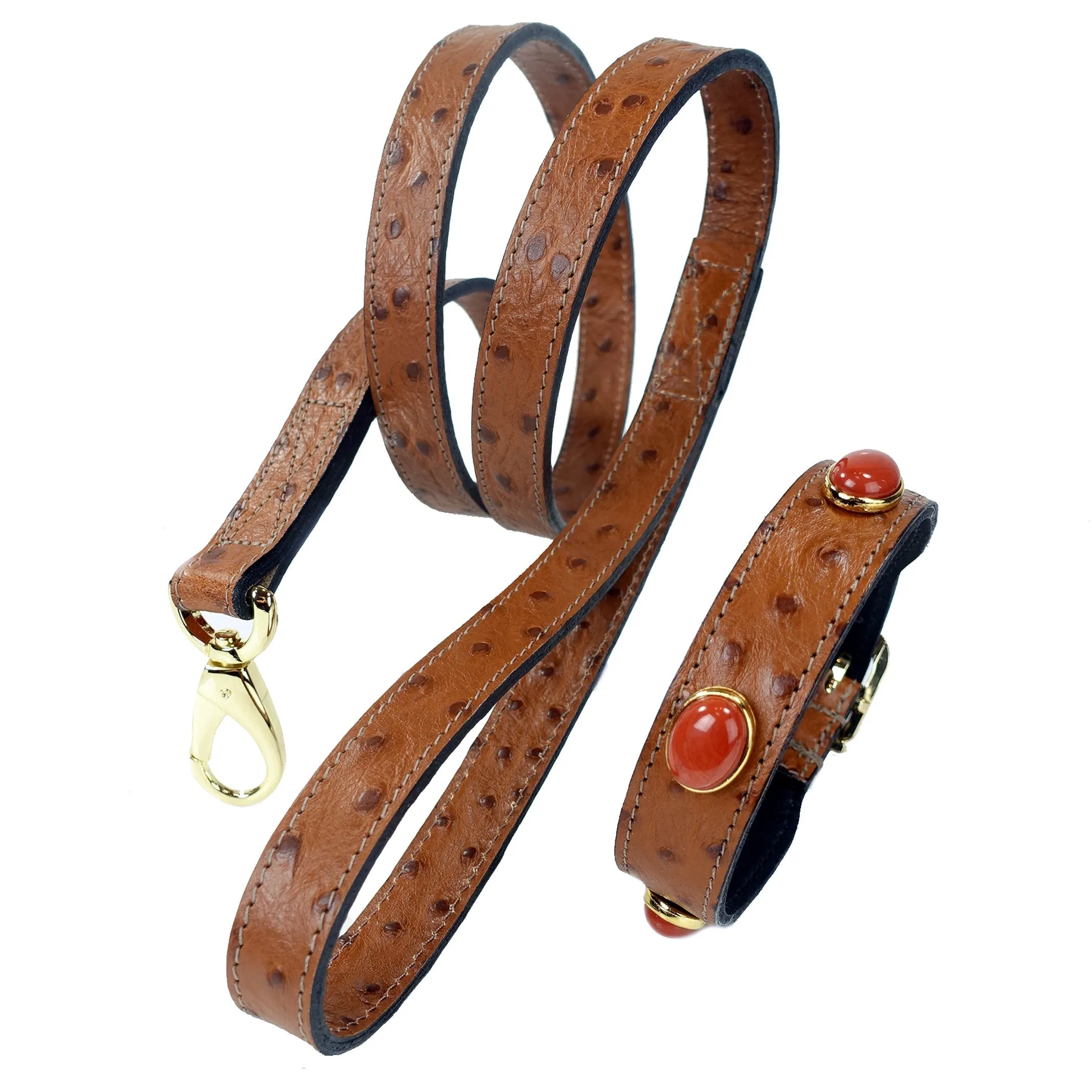 Private Reserve Dog Collar in Red Jasper