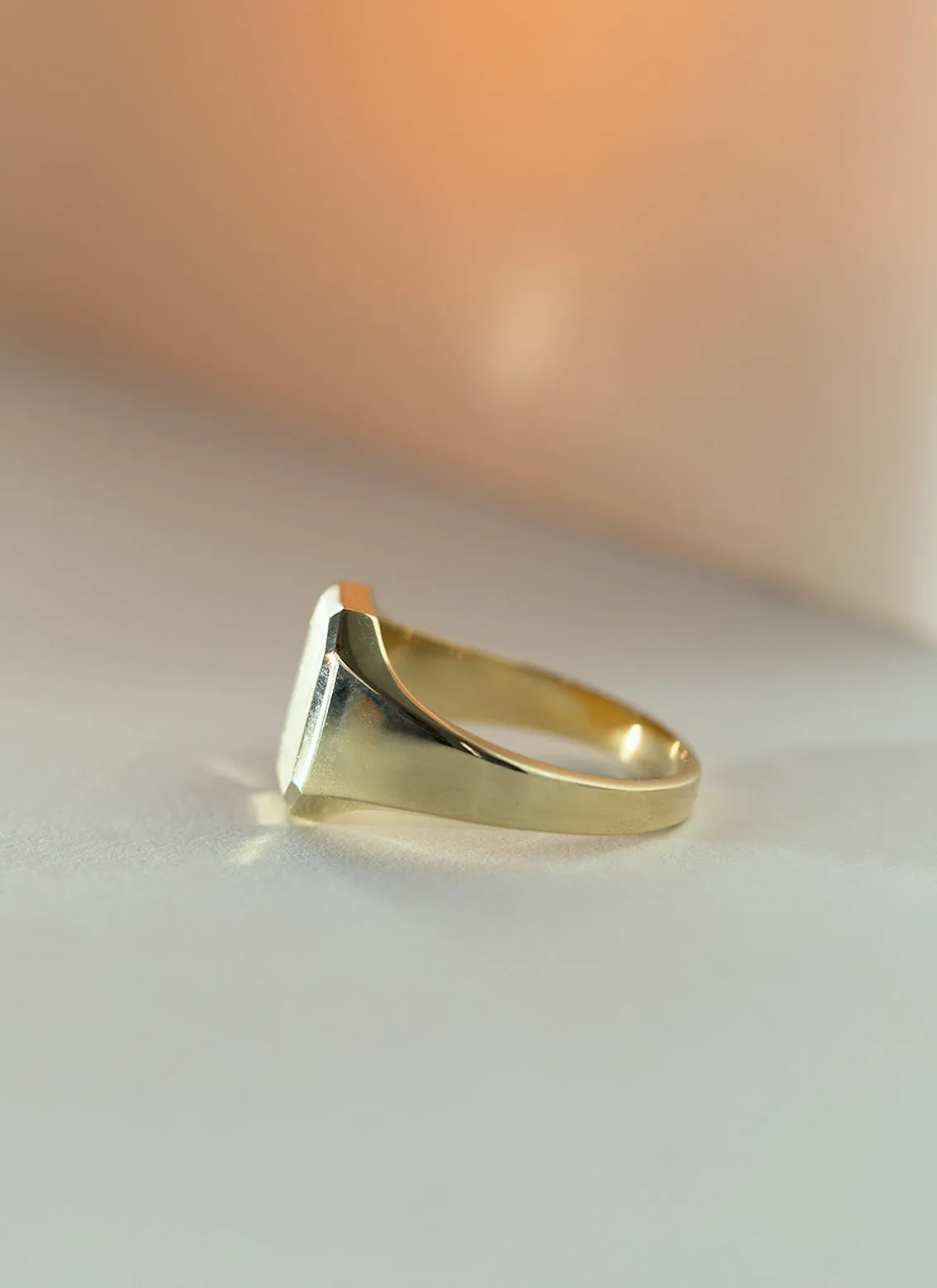 Woody signet ring 14k gold